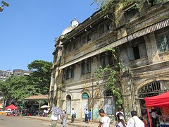 IMG_9108