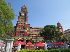 IMG_9110