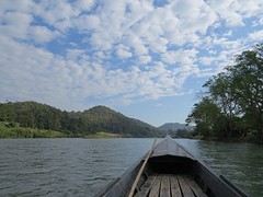 IMG_9195