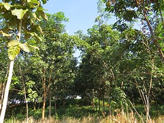 IMG_9210