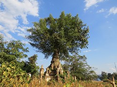 IMG_9300