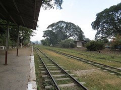 IMG_9312