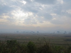 IMG_9325