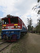 IMG_9350
