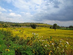 IMG_9357