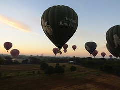 IMG_9496