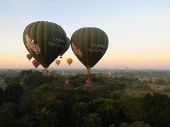 IMG_9510