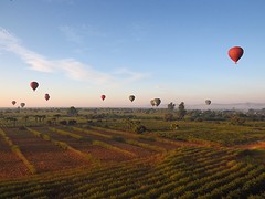 IMG_9614