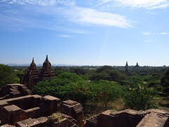 IMG_9715