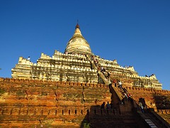 IMG_9861