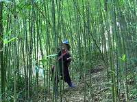 IMG_0949