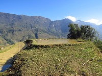 IMG_0951