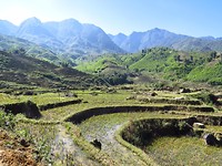 IMG_0971