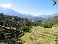IMG_0993