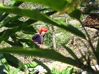IMG_1029