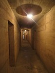 IMG_1139