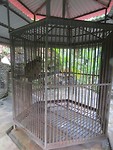 IMG_1164