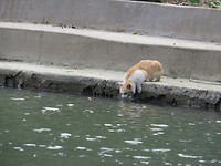 IMG_1340