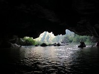 IMG_1354