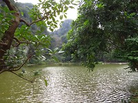 IMG_1370
