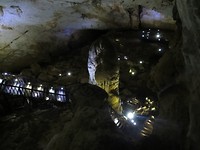 IMG_1392
