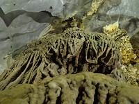 IMG_1536