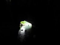 IMG_1542