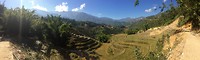 IMG_1598