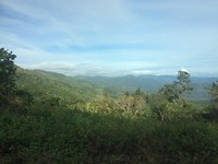 IMG_1813