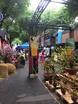 IMG_1869