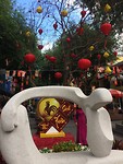 IMG_1873