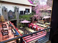 IMG_1908