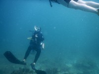DSCN0358