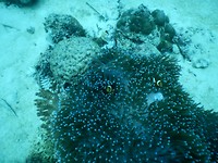 DSCN0390