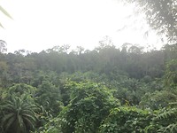 IMG_2102