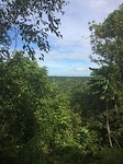 IMG_2105