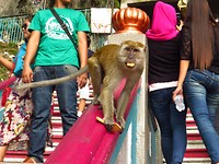 IMG_2253