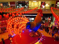 IMG_2356