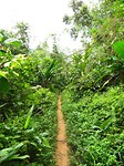 IMG_2444