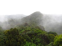 IMG_2488