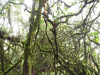 IMG_2500