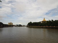 IMG_2525