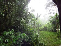 IMG_2601