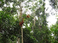 IMG_2635