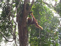 IMG_2606