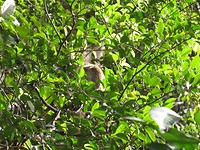 IMG_2787