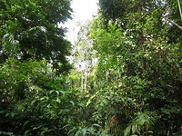 IMG_2789
