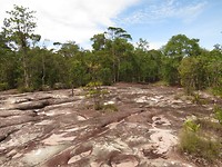IMG_2805