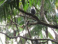 IMG_2813