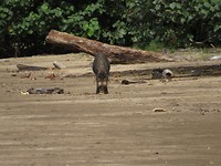 IMG_2865